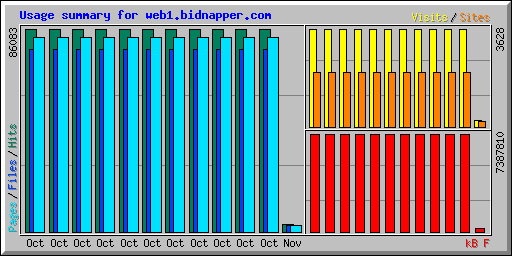 Usage summary for web1.bidnapper.com